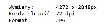 Zdjęcie do pytania: W ramce przedstawiono właściwości pliku graficznego. W celu optymalizacji czasu ładowania rysunku na stronę WWW należy