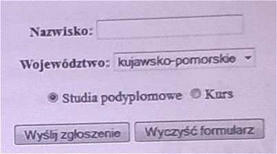 Zdjęcie do pytania: Które z pól są umieszczone w formularzu?